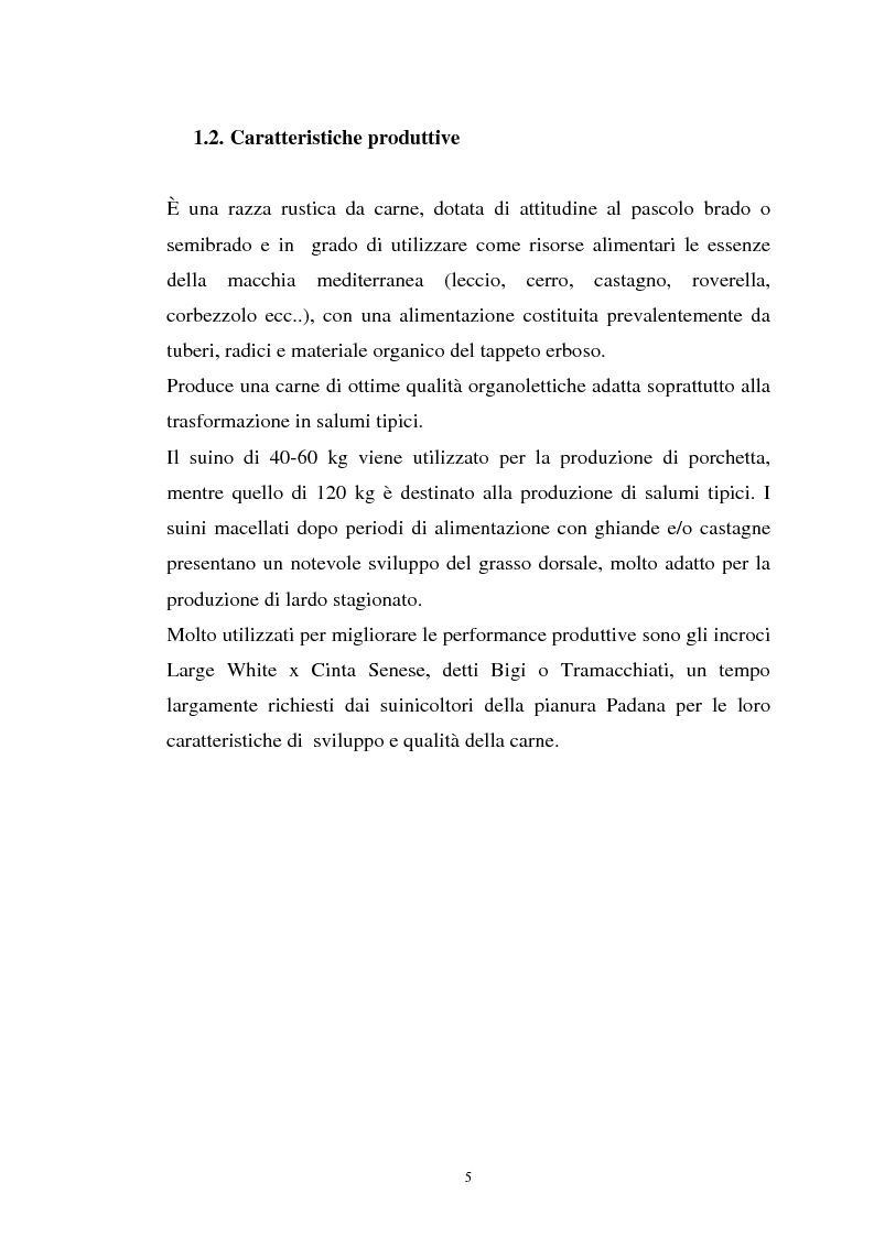 Anteprima della tesi: Come il diverso livello proteico della dieta influenza le caratteristiche chimico fisiche della carne suina in animali cinta senese, Pagina 5