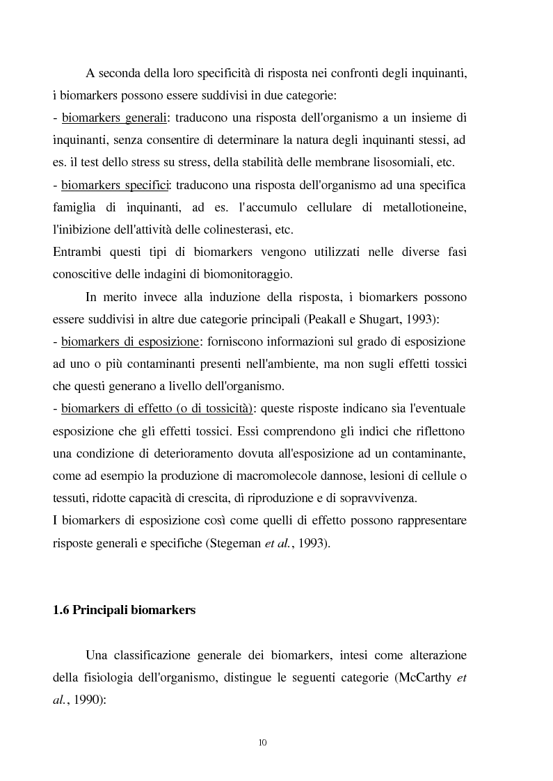 Anteprima della tesi: Valutazione dello stato fisiologico di organismi sentinella (Tapes Philippinarum e Mytilus Galloprovincialis) mediante l'uso di biomarkers, Pagina 10