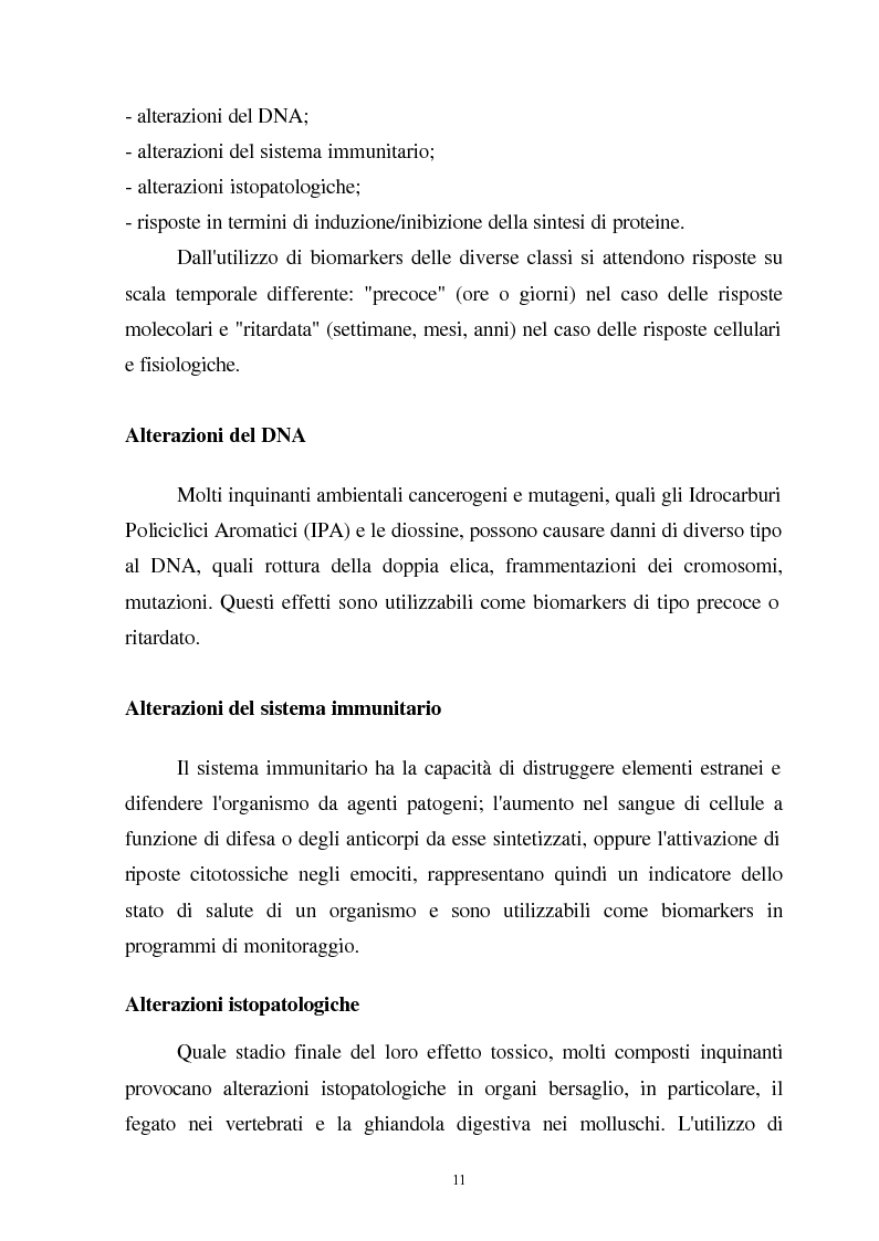 Anteprima della tesi: Valutazione dello stato fisiologico di organismi sentinella (Tapes Philippinarum e Mytilus Galloprovincialis) mediante l'uso di biomarkers, Pagina 11