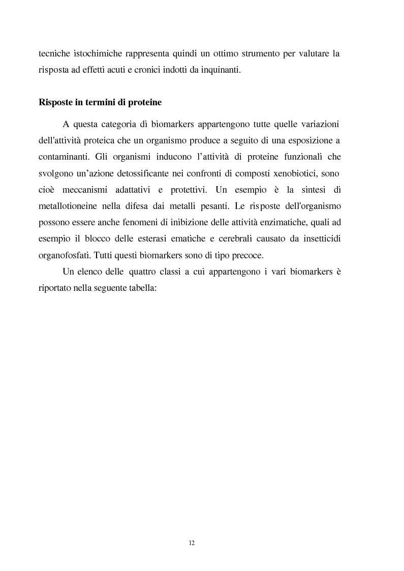 Anteprima della tesi: Valutazione dello stato fisiologico di organismi sentinella (Tapes Philippinarum e Mytilus Galloprovincialis) mediante l'uso di biomarkers, Pagina 12