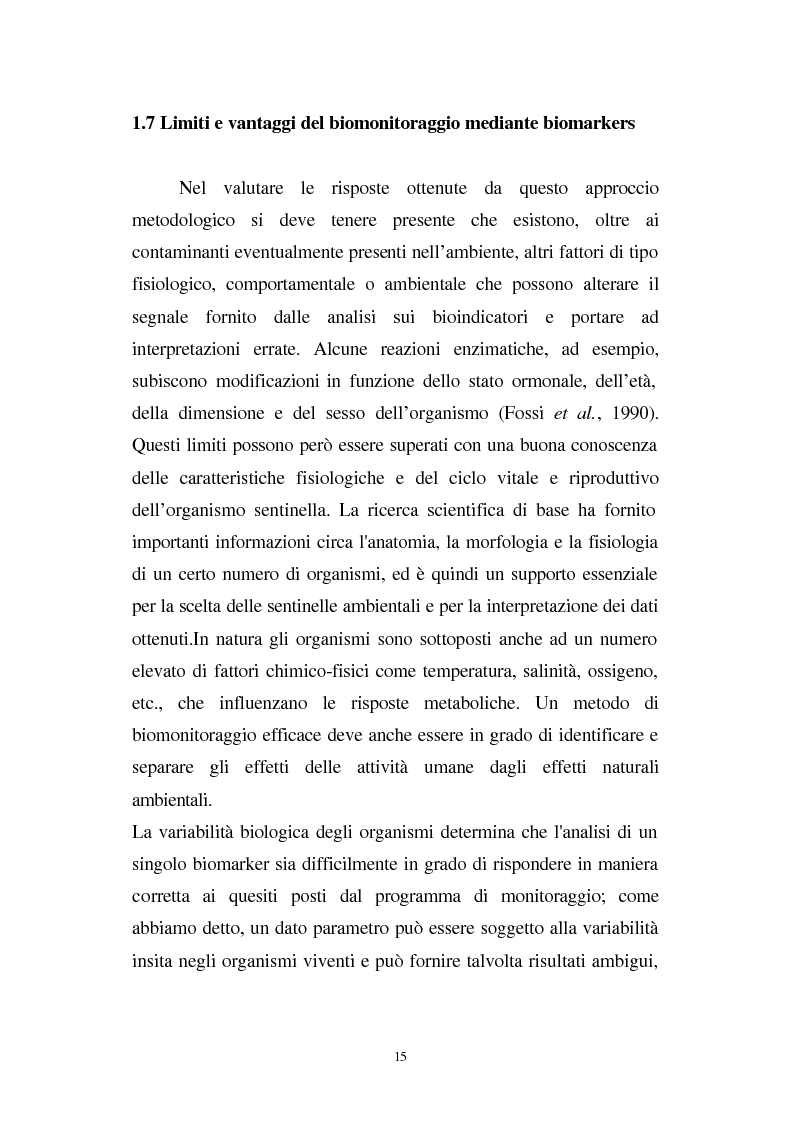 Anteprima della tesi: Valutazione dello stato fisiologico di organismi sentinella (Tapes Philippinarum e Mytilus Galloprovincialis) mediante l'uso di biomarkers, Pagina 15