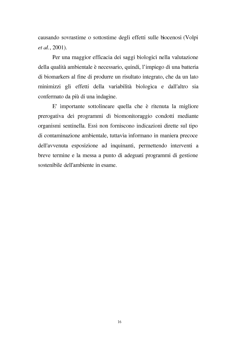 Anteprima della tesi: Valutazione dello stato fisiologico di organismi sentinella (Tapes Philippinarum e Mytilus Galloprovincialis) mediante l'uso di biomarkers, Pagina 16