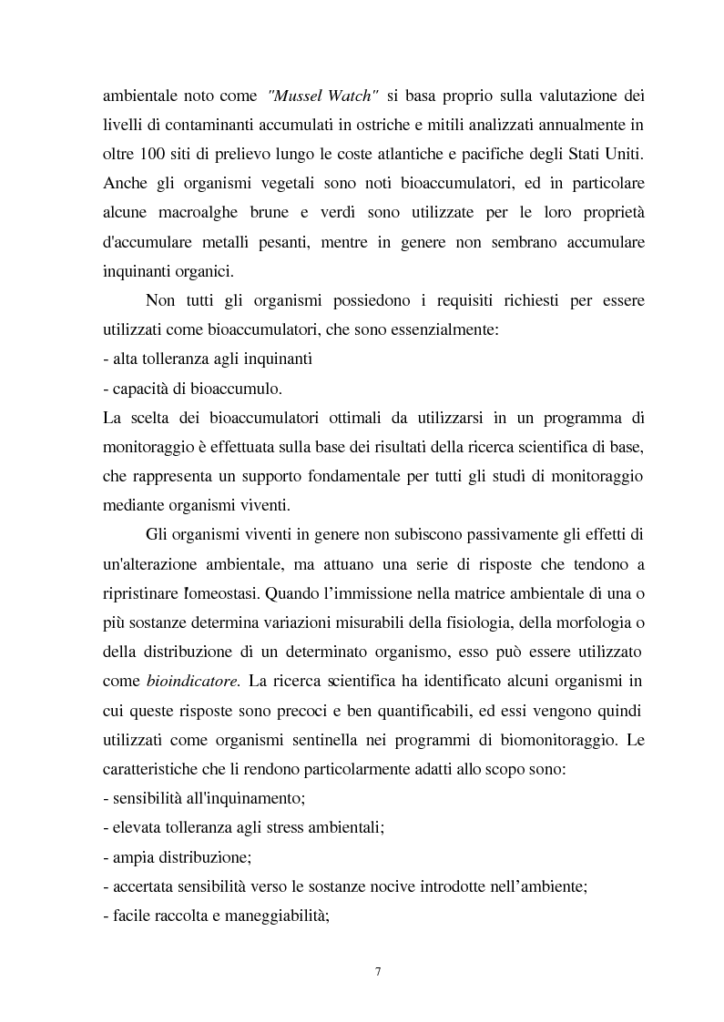 Anteprima della tesi: Valutazione dello stato fisiologico di organismi sentinella (Tapes Philippinarum e Mytilus Galloprovincialis) mediante l'uso di biomarkers, Pagina 7