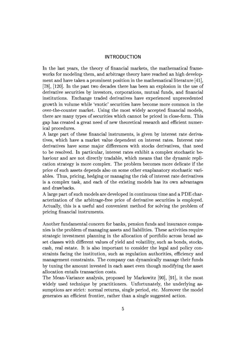 Anteprima della tesi: Viscosity Solutions and Optimization in Mathematical Finance, Pagina 2