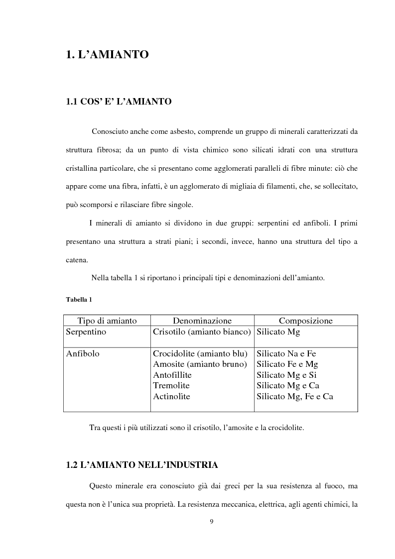 Anteprima della tesi: Problematiche connesse alla bonifica da amianto negli impianti chimici, Pagina 3
