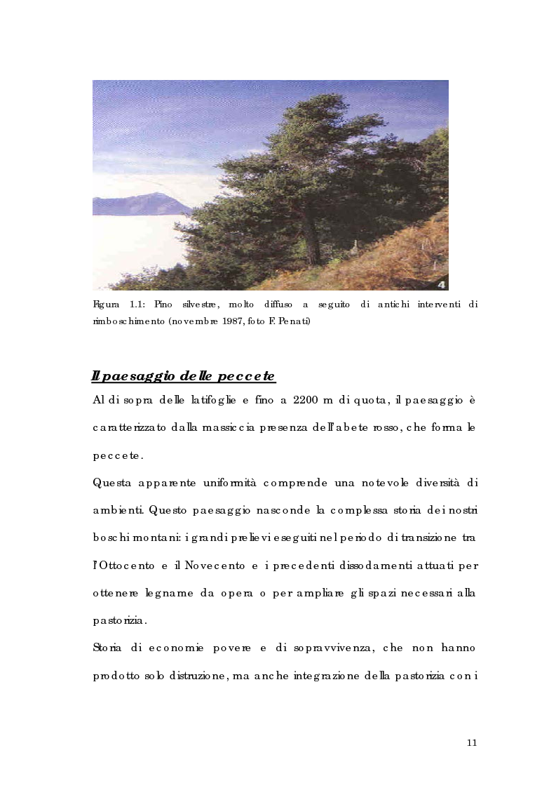 Anteprima della tesi: Utilizzo di tecnologia GIS per l'analisi di alpeggi e malghe in Alta Valtellina, Pagina 5