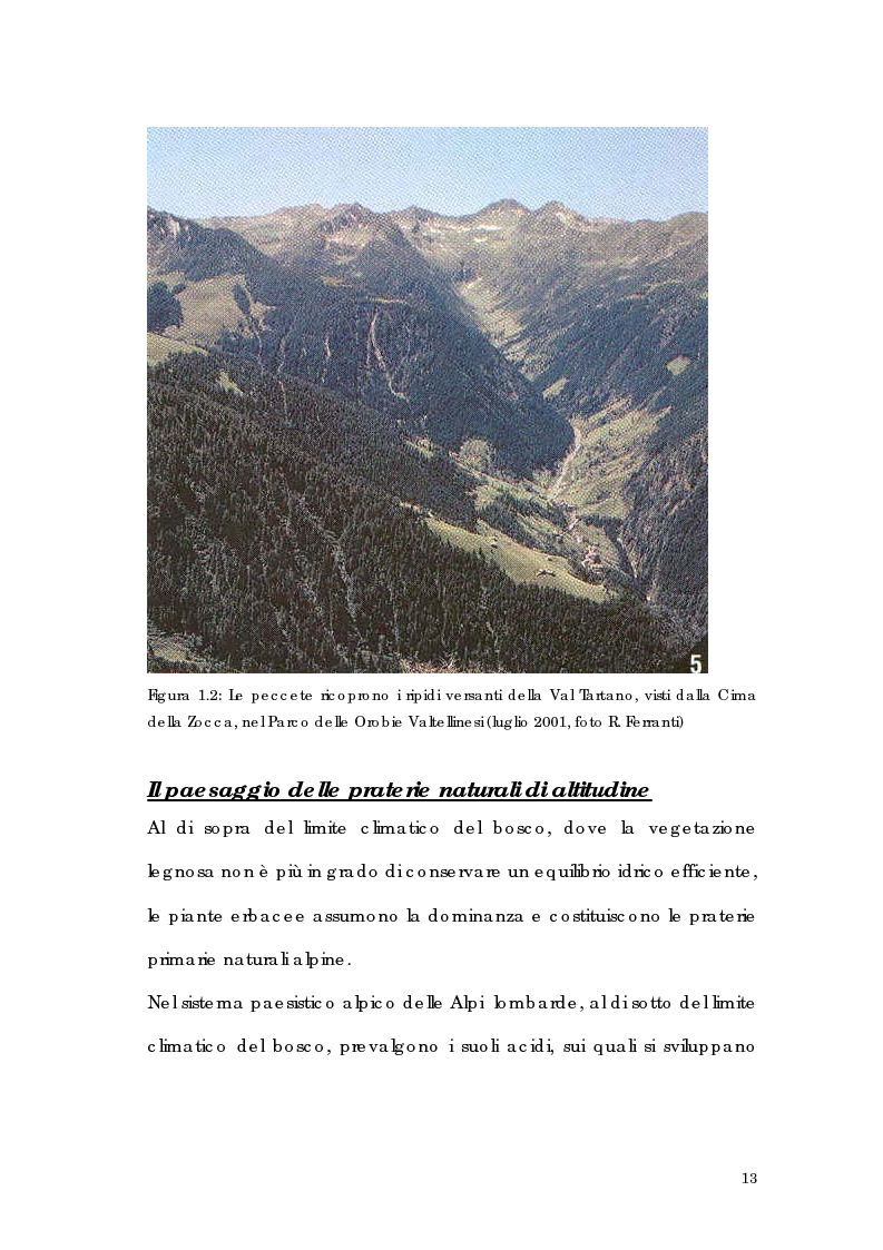 Anteprima della tesi: Utilizzo di tecnologia GIS per l'analisi di alpeggi e malghe in Alta Valtellina, Pagina 7
