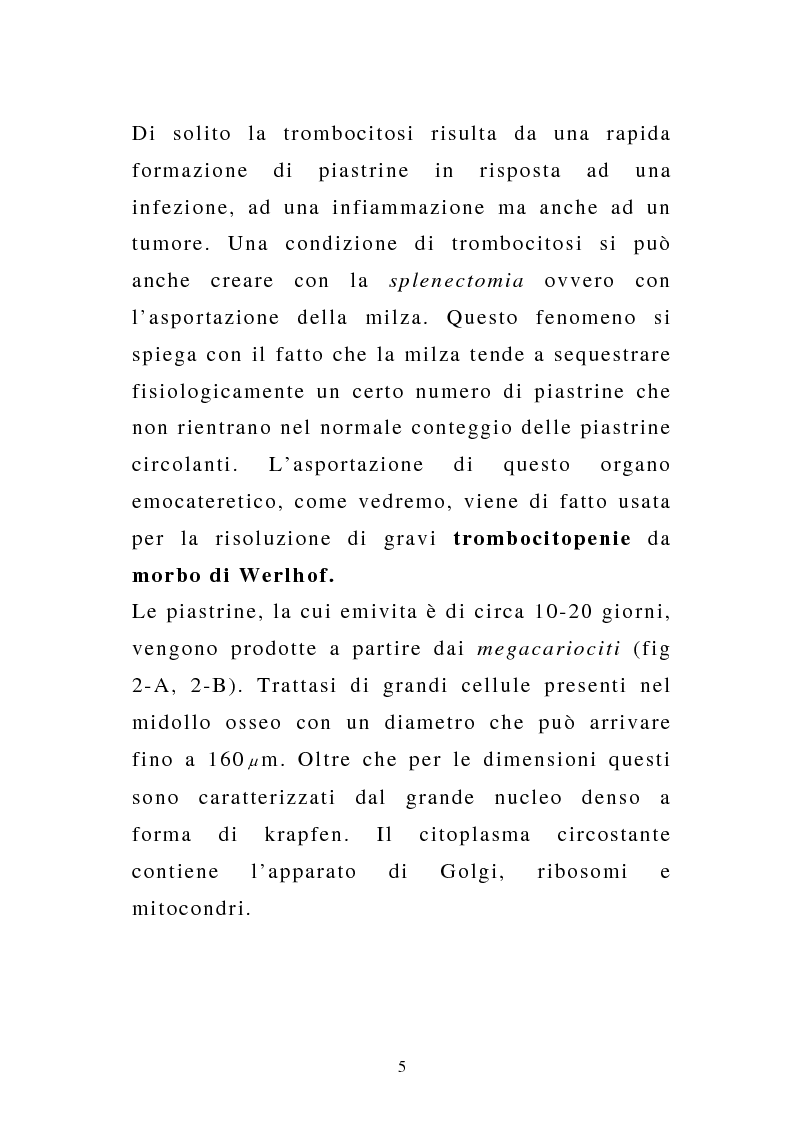 Anteprima della tesi: Porpora Trombocitopenica Idiopatica, Pagina 5