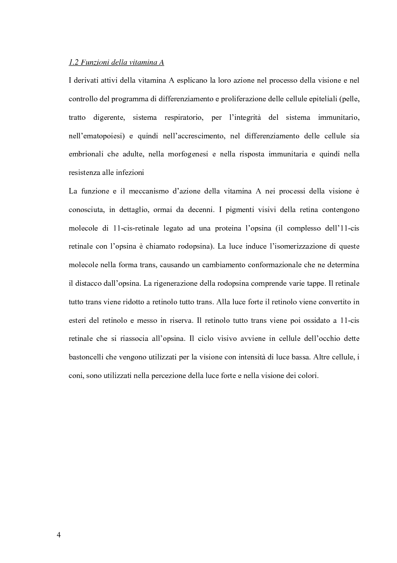 Anteprima della tesi: Utilizzazione della vitamina A: regolazione della secrezione del suo trasportatore “Retinol Binding Protein” (RBP) dall’epatocita, Pagina 3