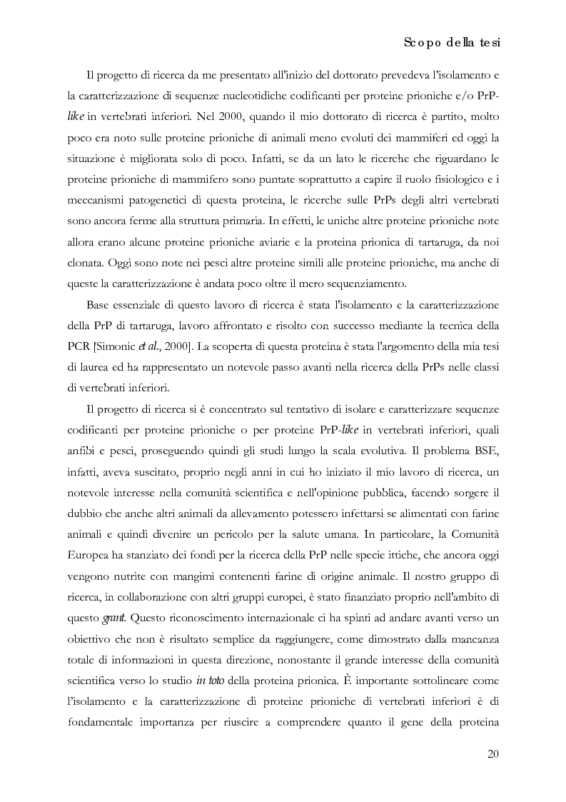 Anteprima della tesi: Identificazione e caratterizzazione dei cDNA e dei rispettivi geni codificanti per la proteina prionica di Xenopus laevis e per due distinte proteine PrP-like nei pesci, Pagina 2