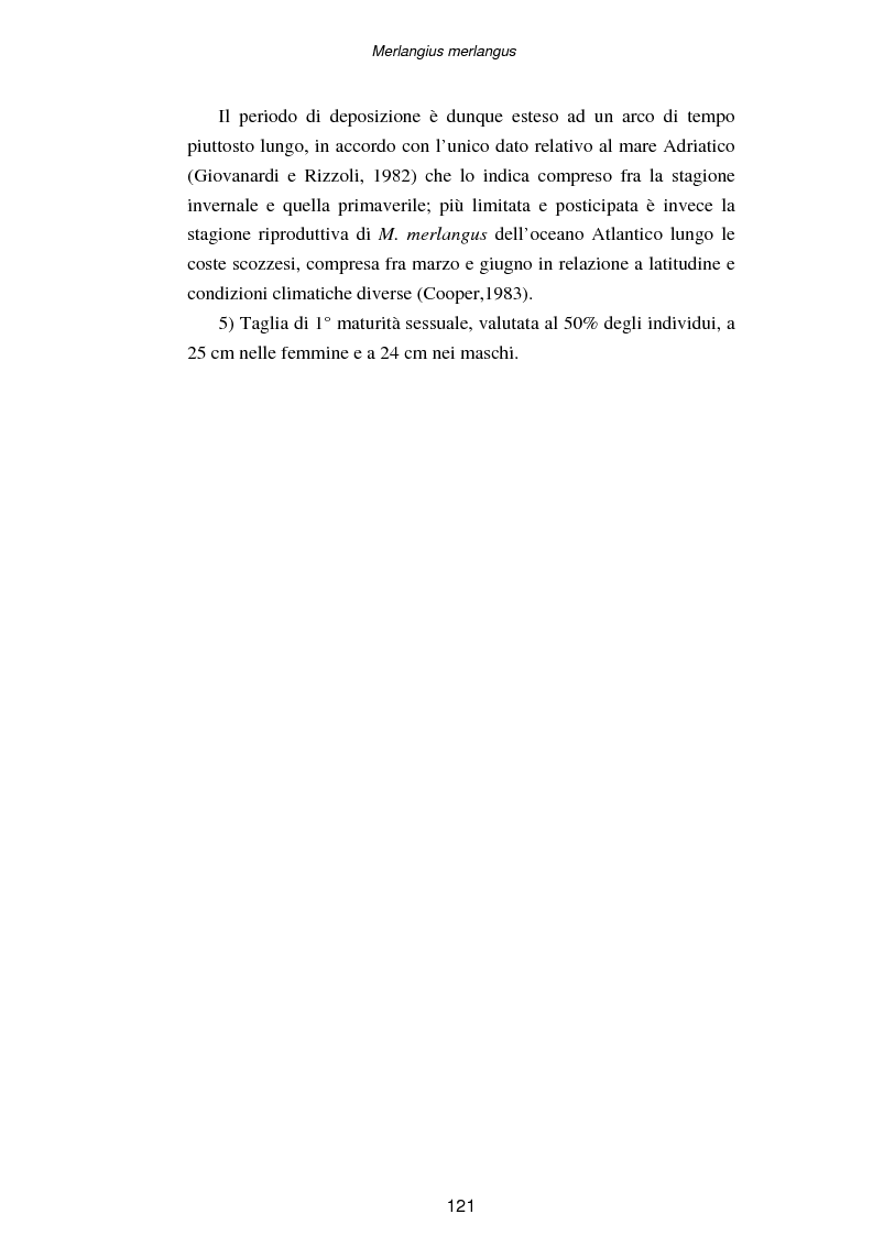 Anteprima della tesi: Ciclo biologico annuale di Merlangius merlangus (L., 1758) (Osteichthyes, Gadidae) nell'alto-medio Adriatico, Pagina 4