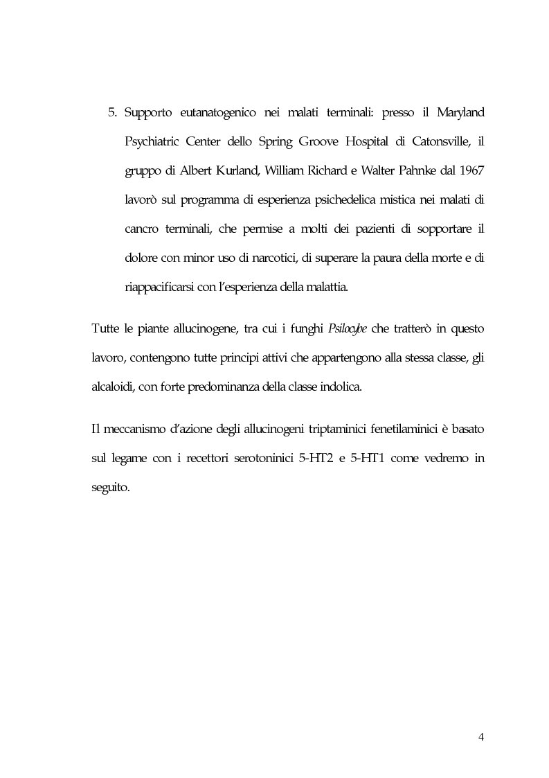 Anteprima della tesi: La carne degli dei (considerazioni sui funghi allucinogeni), Pagina 4