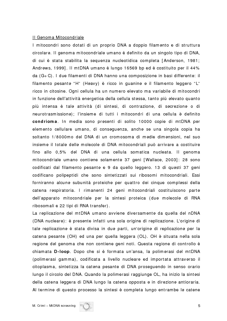 Anteprima della tesi: Eziopatogenesi molecolare delle Encefalomiopatie Mitocondriali, Pagina 2