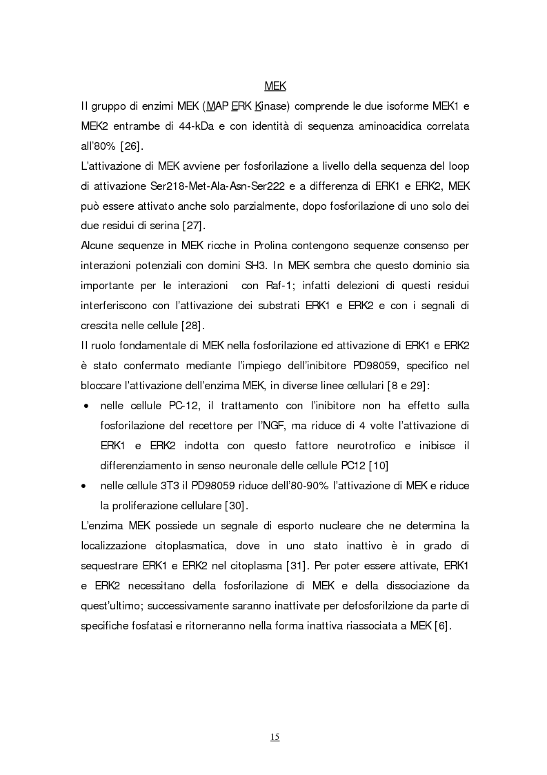Anteprima della tesi: Meccanismi molecolari coinvolti nel differenziamento neuronale indotto da Acido retinoico nella linea cellulare di neuroblastoma umano SH-SY5Y, Pagina 12