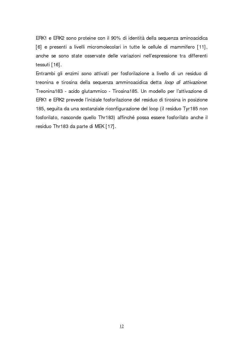 Anteprima della tesi: Meccanismi molecolari coinvolti nel differenziamento neuronale indotto da Acido retinoico nella linea cellulare di neuroblastoma umano SH-SY5Y, Pagina 9