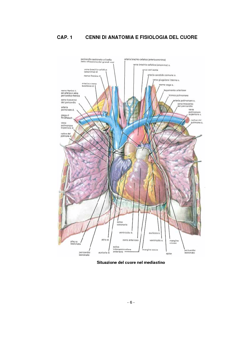 Anteprima della tesi: L'infermiere nella gestione dell'arresto cardiocircolatorio e nella successiva diagnostica cardiovascolare ambulatoriale, Pagina 2