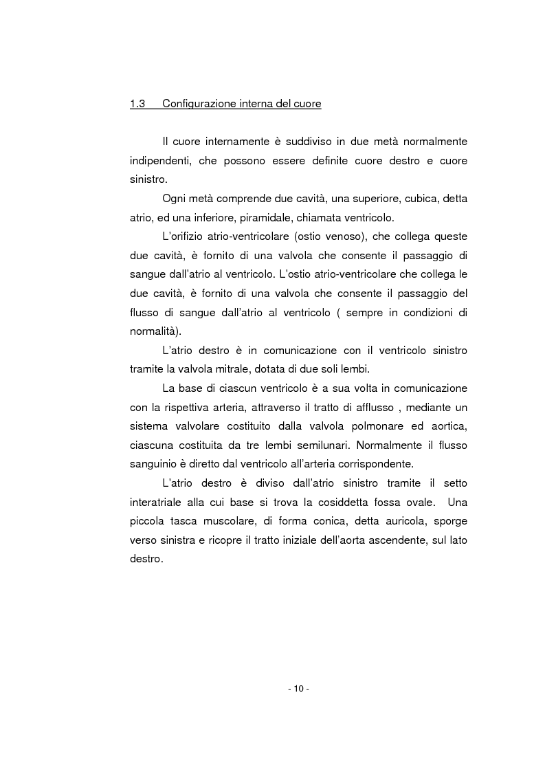 Anteprima della tesi: L'infermiere nella gestione dell'arresto cardiocircolatorio e nella successiva diagnostica cardiovascolare ambulatoriale, Pagina 6