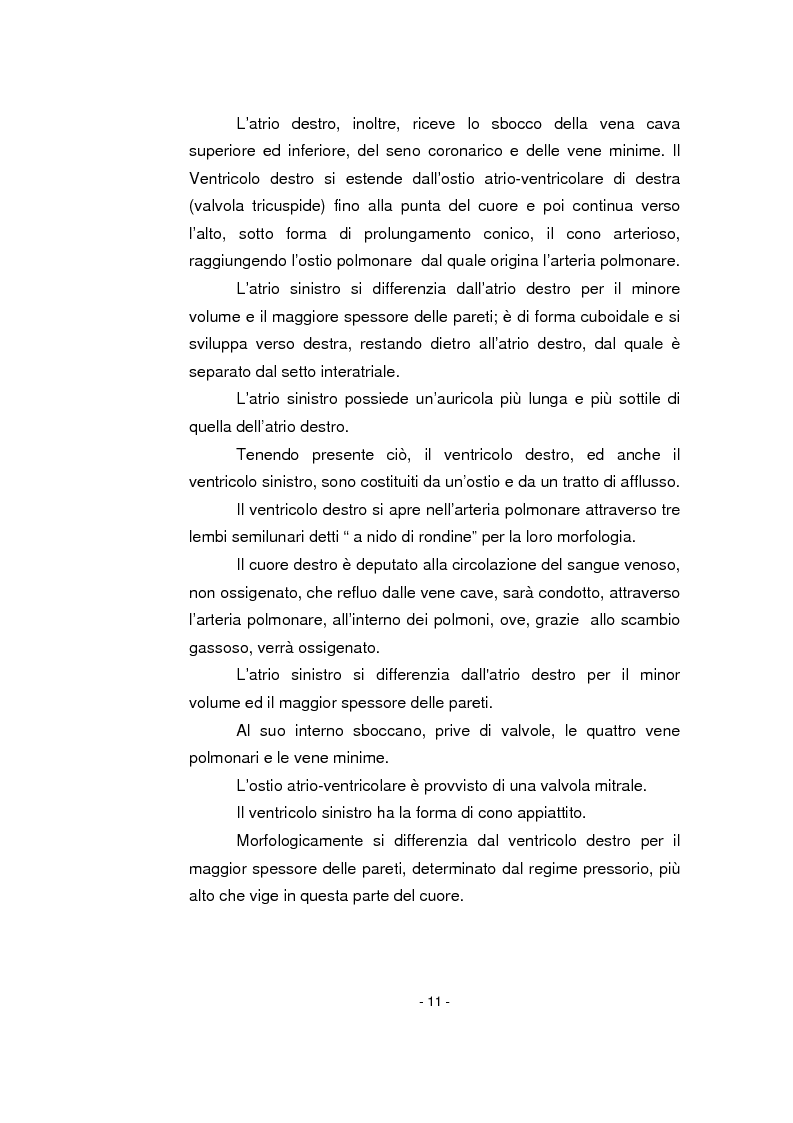 Anteprima della tesi: L'infermiere nella gestione dell'arresto cardiocircolatorio e nella successiva diagnostica cardiovascolare ambulatoriale, Pagina 7