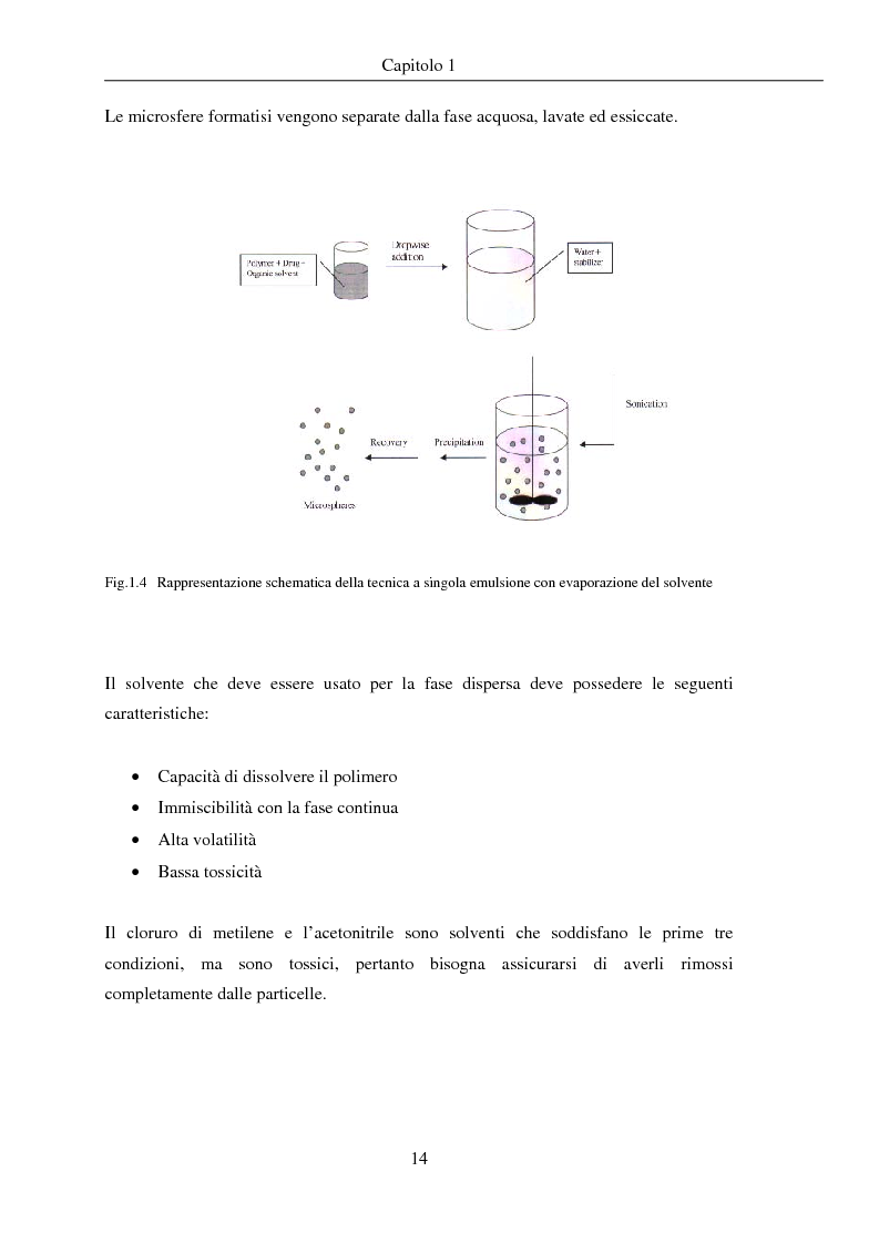 Anteprima della tesi: Fenomeni di trasporto in carrier farmaceutici, Pagina 14