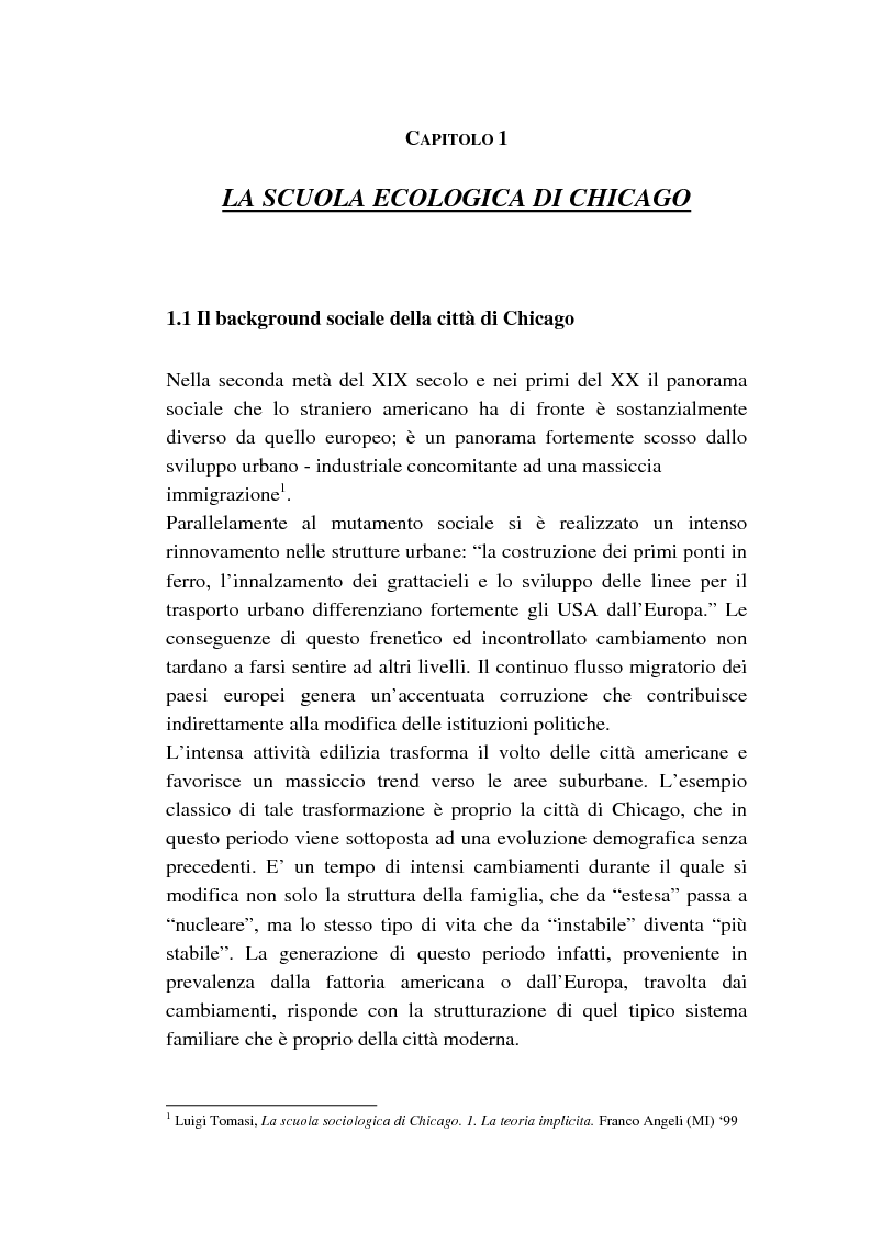 Anteprima della tesi: Dalle subculture alle idioculture, Pagina 9
