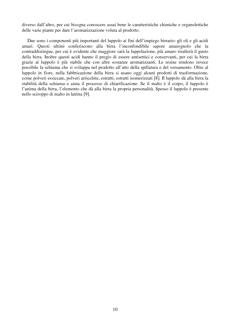 Anteprima della tesi: L'industria della birra, Pagina 10