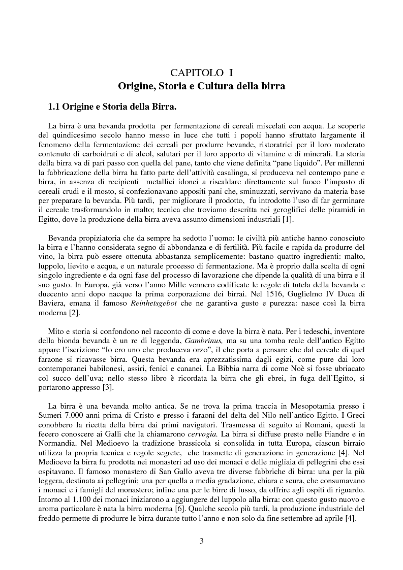 Anteprima della tesi: L'industria della birra, Pagina 3