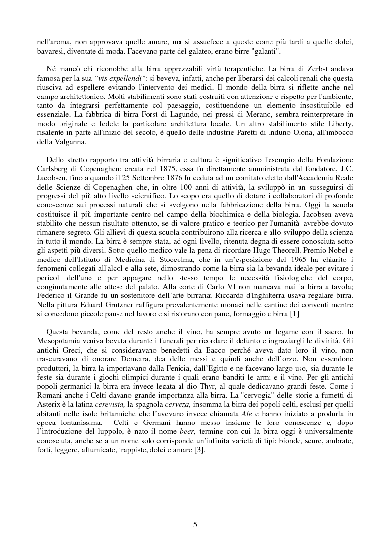 Anteprima della tesi: L'industria della birra, Pagina 5