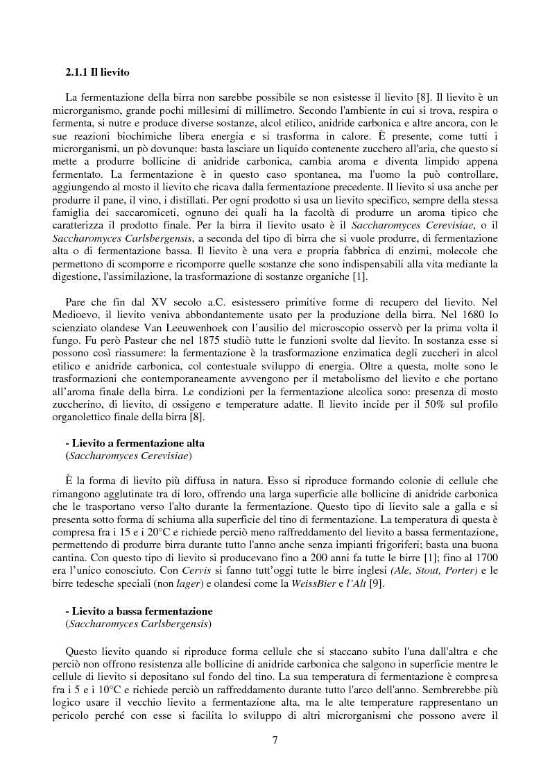 Anteprima della tesi: L'industria della birra, Pagina 7