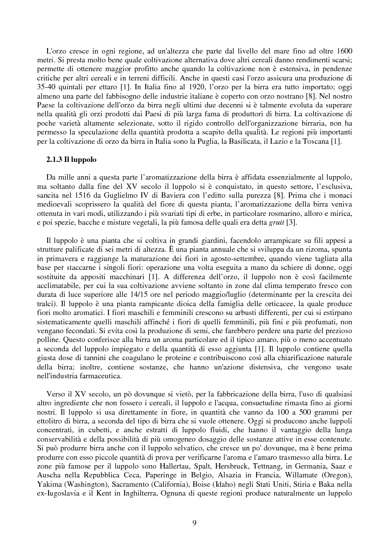 Anteprima della tesi: L'industria della birra, Pagina 9