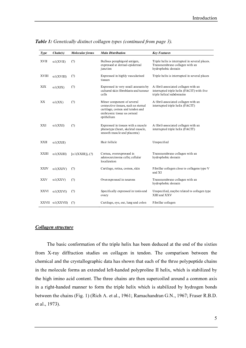 Anteprima della tesi: Interactions between the matricellular protein BM-40 and fibrillar collagens type I, II and III, Pagina 5
