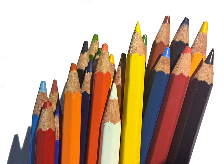 SCARICARE TESI FITOTERAPIA